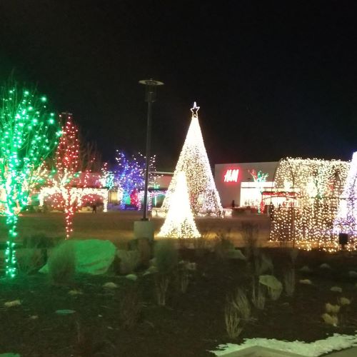 Orchard Christmas Lights thumbnail